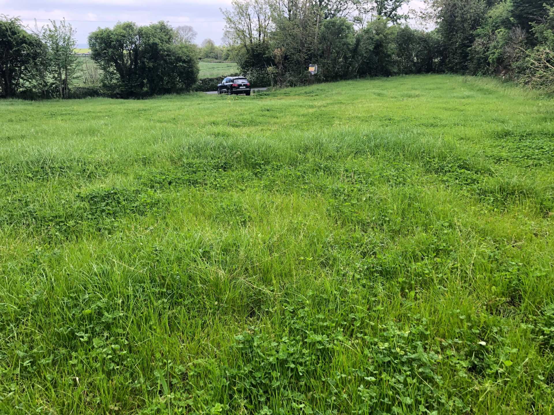 Lurriga, Patrickswell, Co. Limerick Lurriga, Patrickswell, Co. Limerick