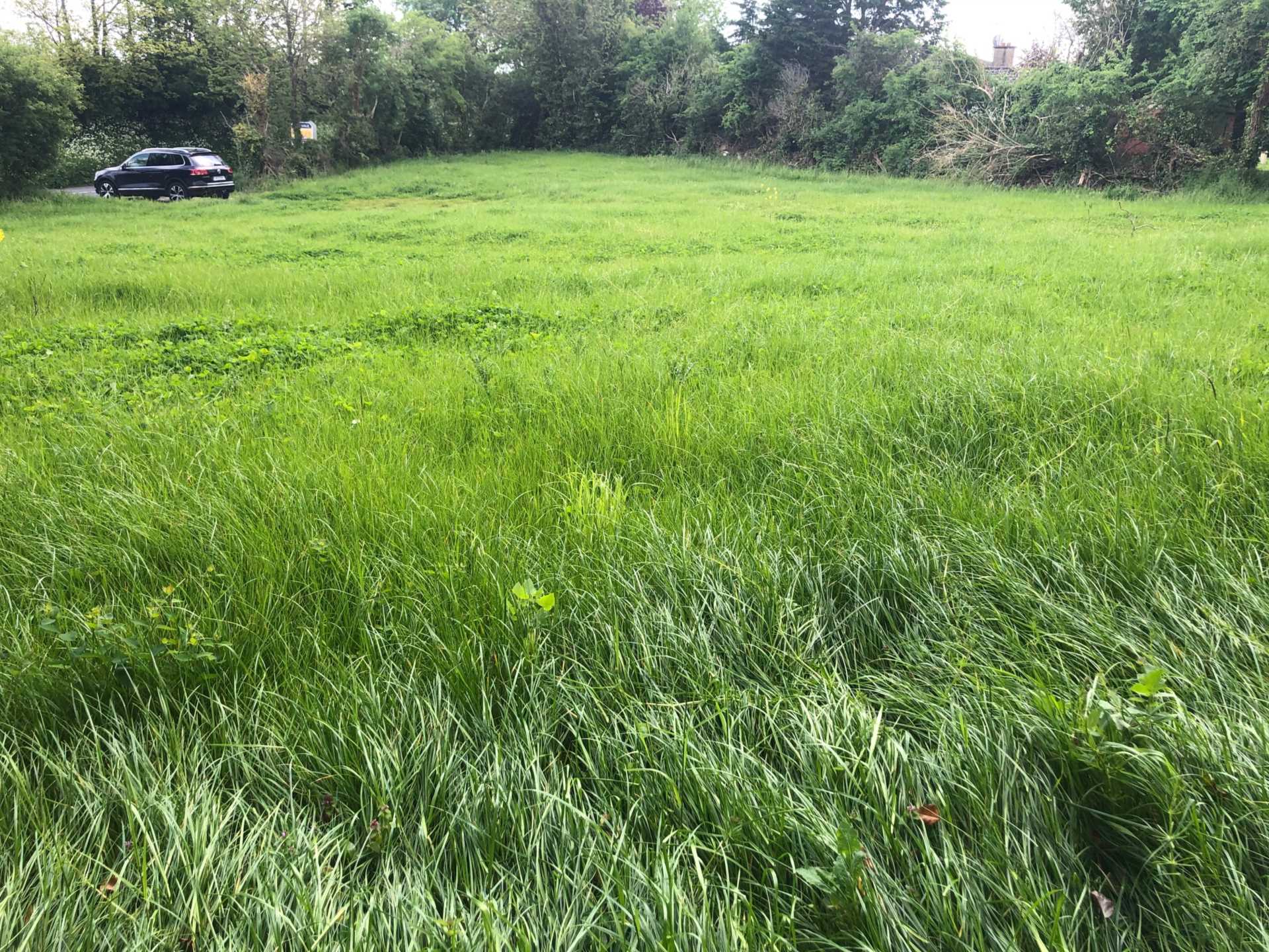 Lurriga, Patrickswell, Co. Limerick Lurriga, Patrickswell, Co. Limerick