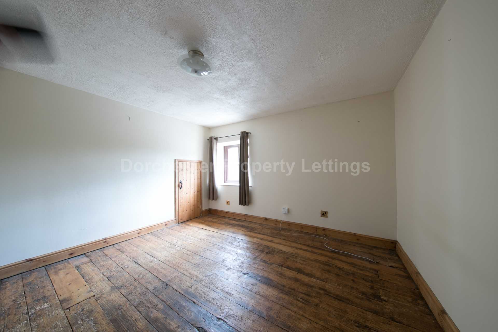 Blandford Hill, Milborne St Andrew, Image 12