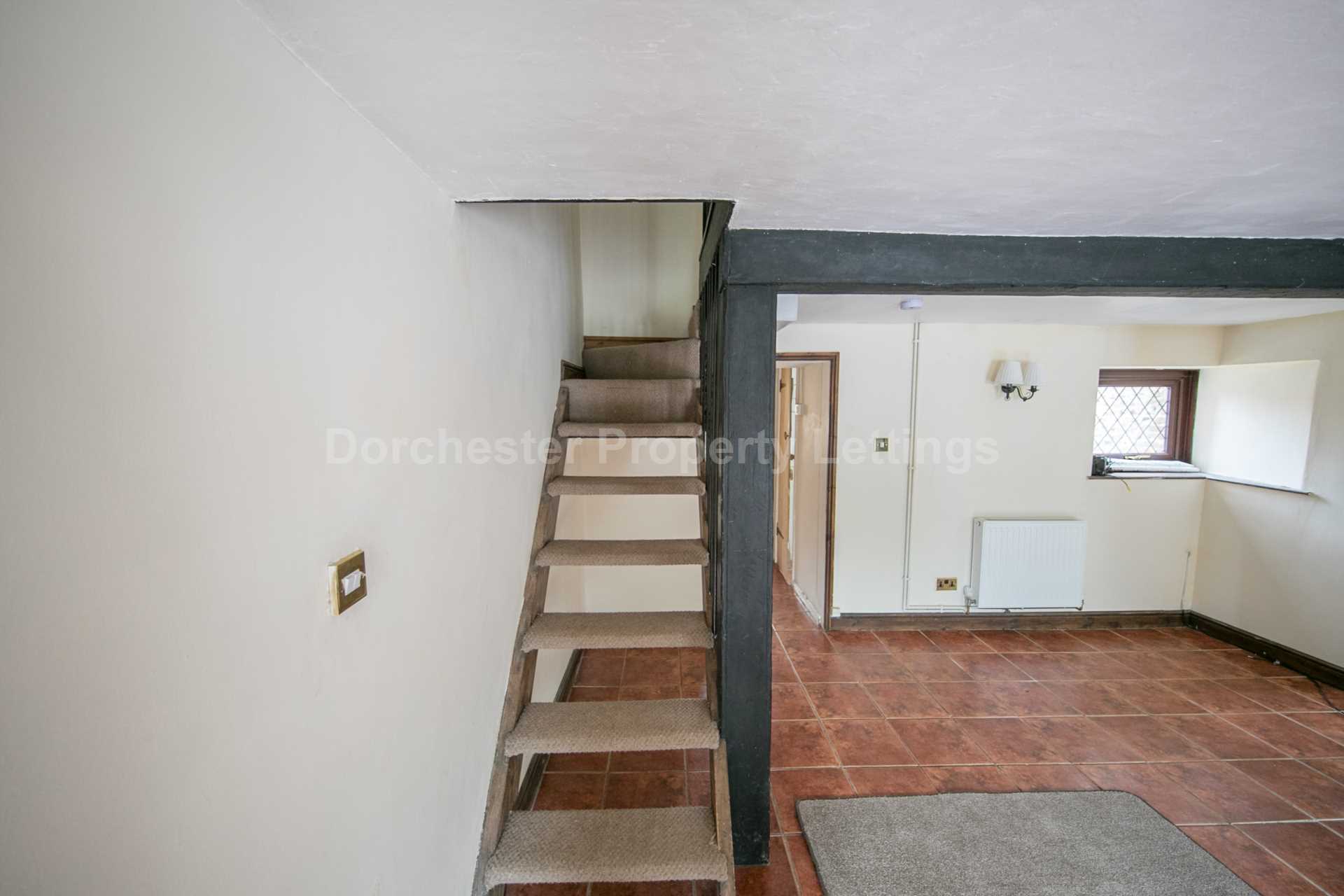 Blandford Hill, Milborne St Andrew, Image 8