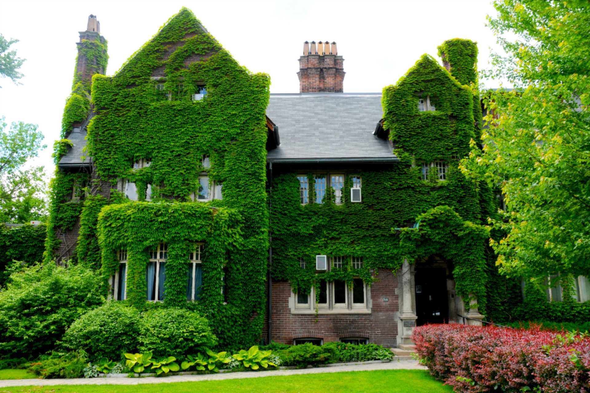How green is your home? The government increases grants for homeowners