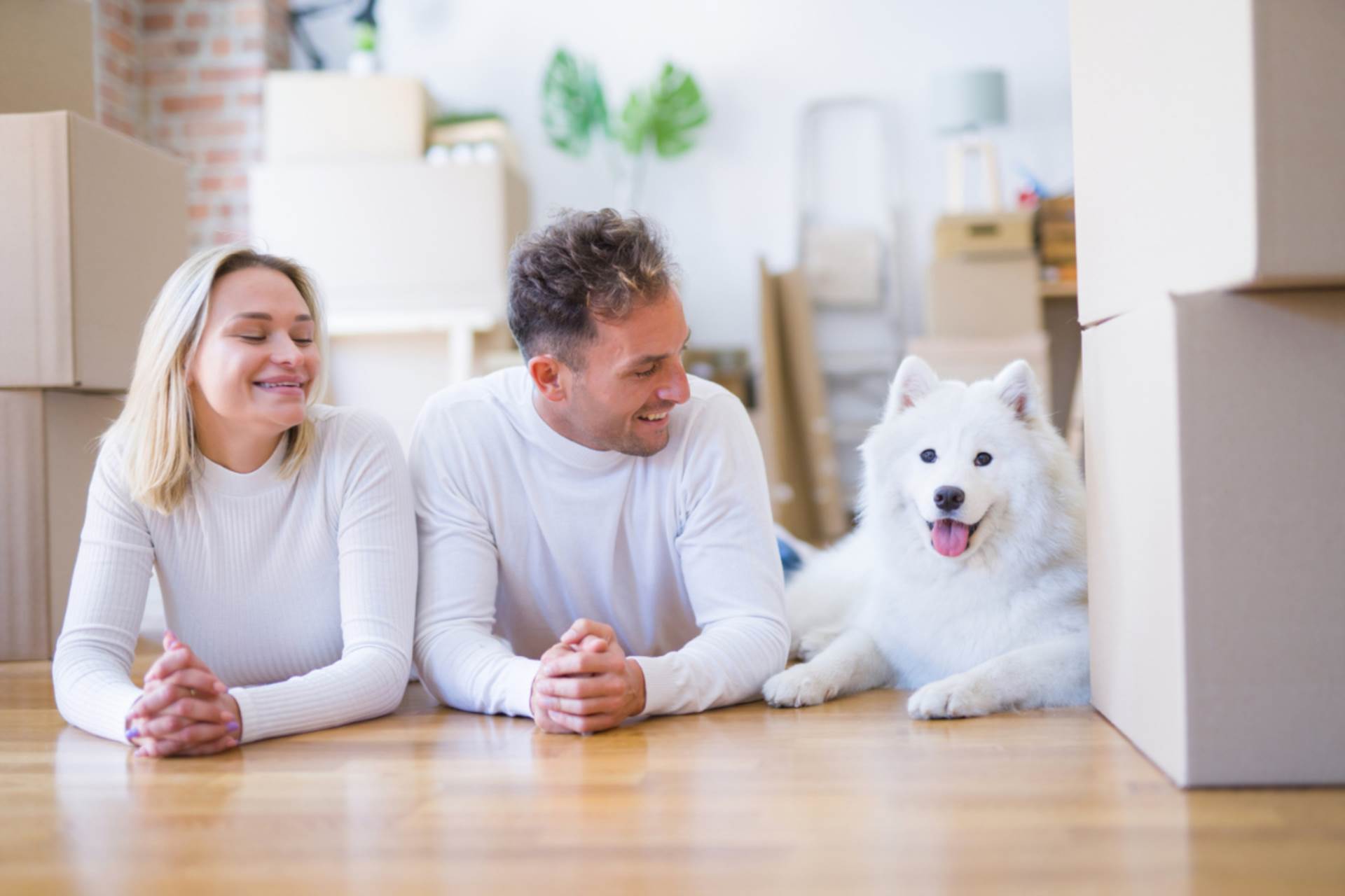Budgeting tips for home-movers