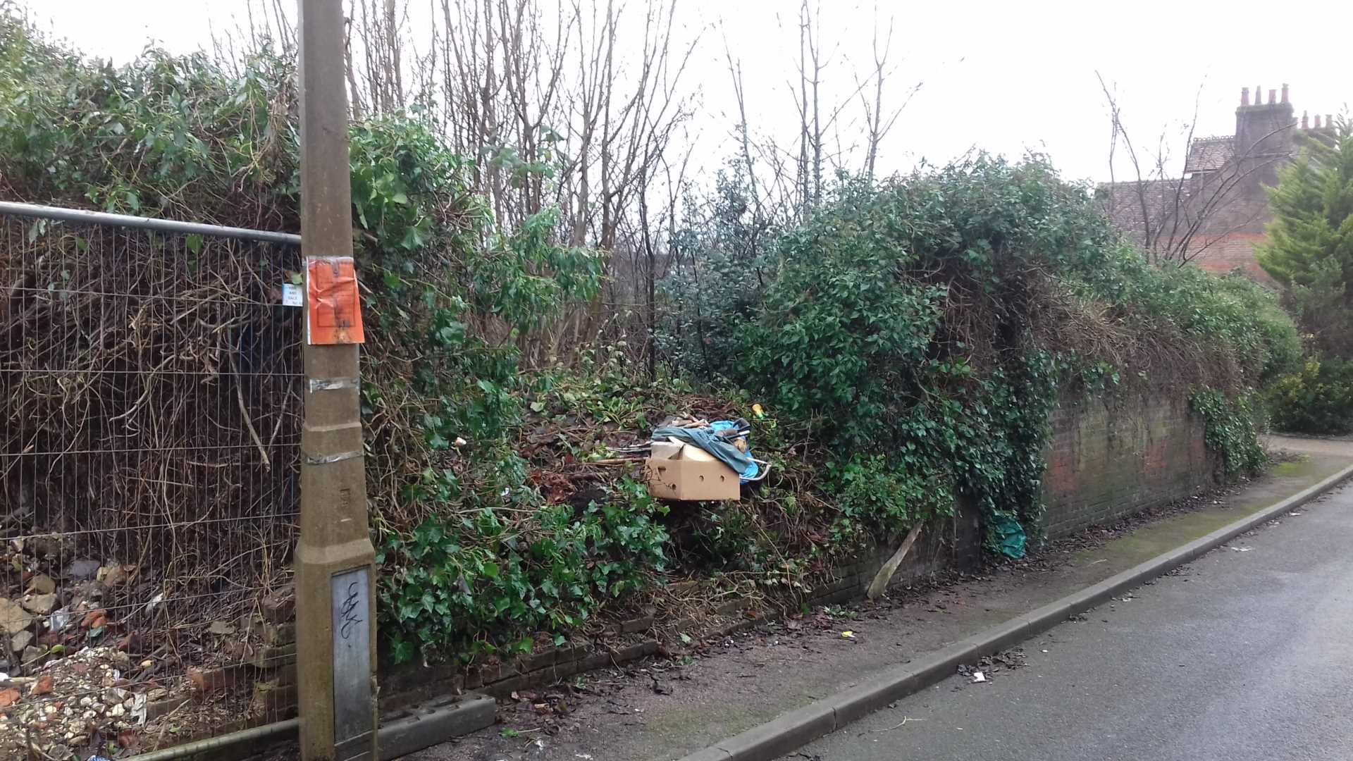 DEVELOPMENT PLOT, ST.MARYS ROAD, REAR OF GEORGE STREET, OLD TOWN, Image 2