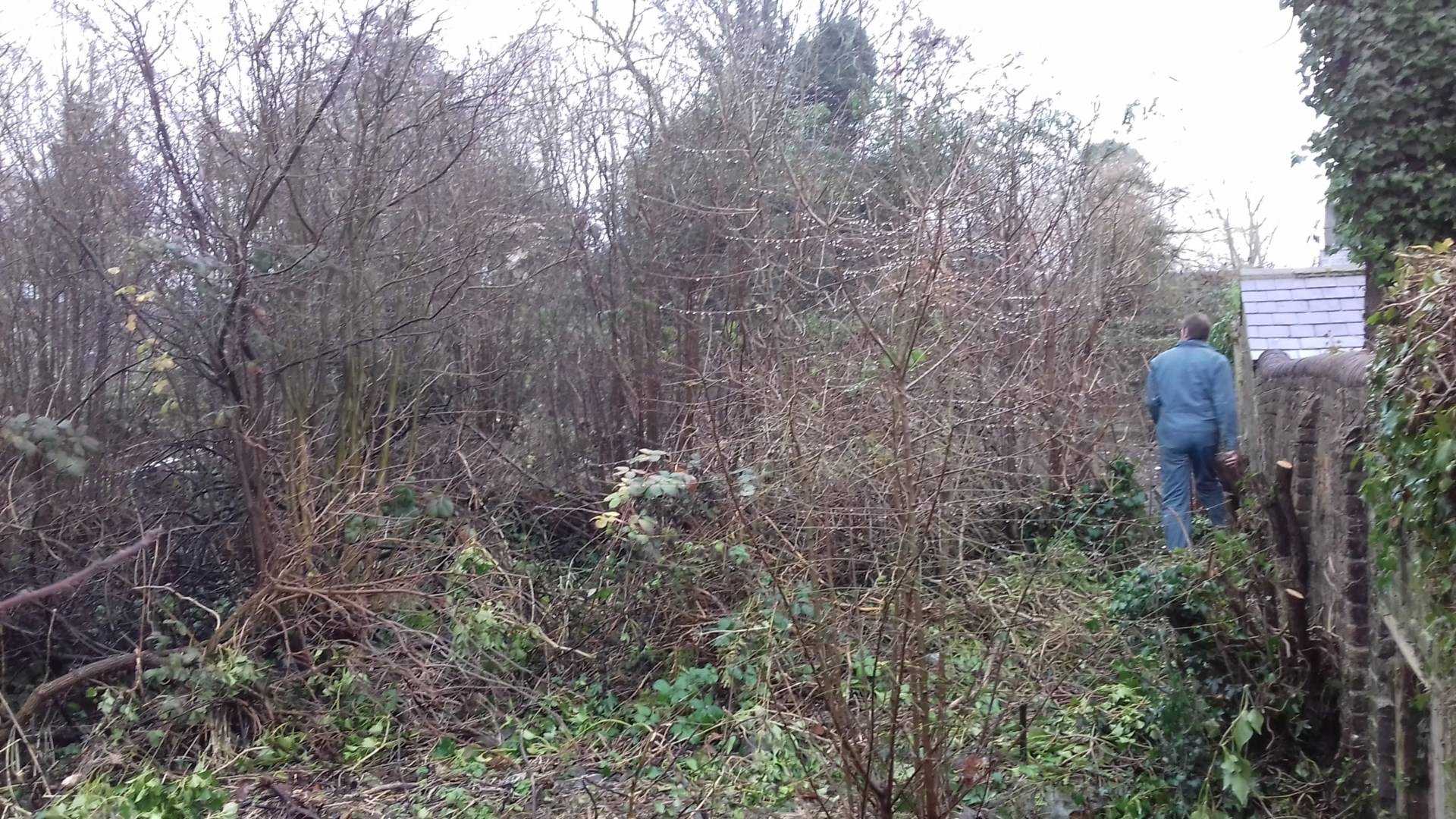 DEVELOPMENT PLOT, ST.MARYS ROAD, REAR OF GEORGE STREET, OLD TOWN, Image 4