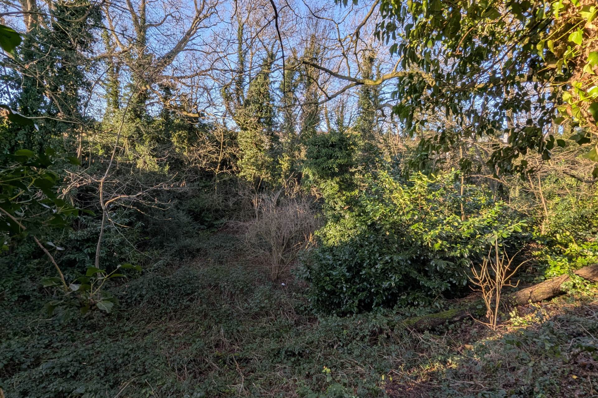 The Crofts, Leverstock Green, Image 25