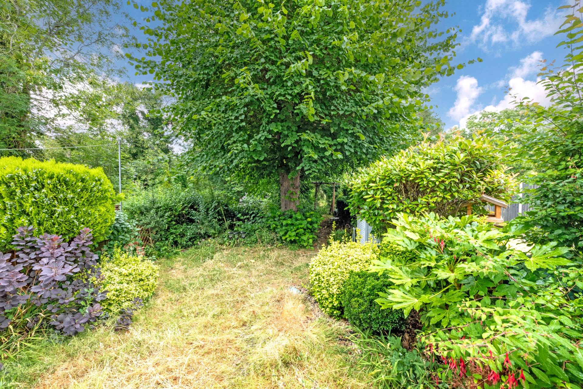 Rectory Lane, Wallington, Image 4
