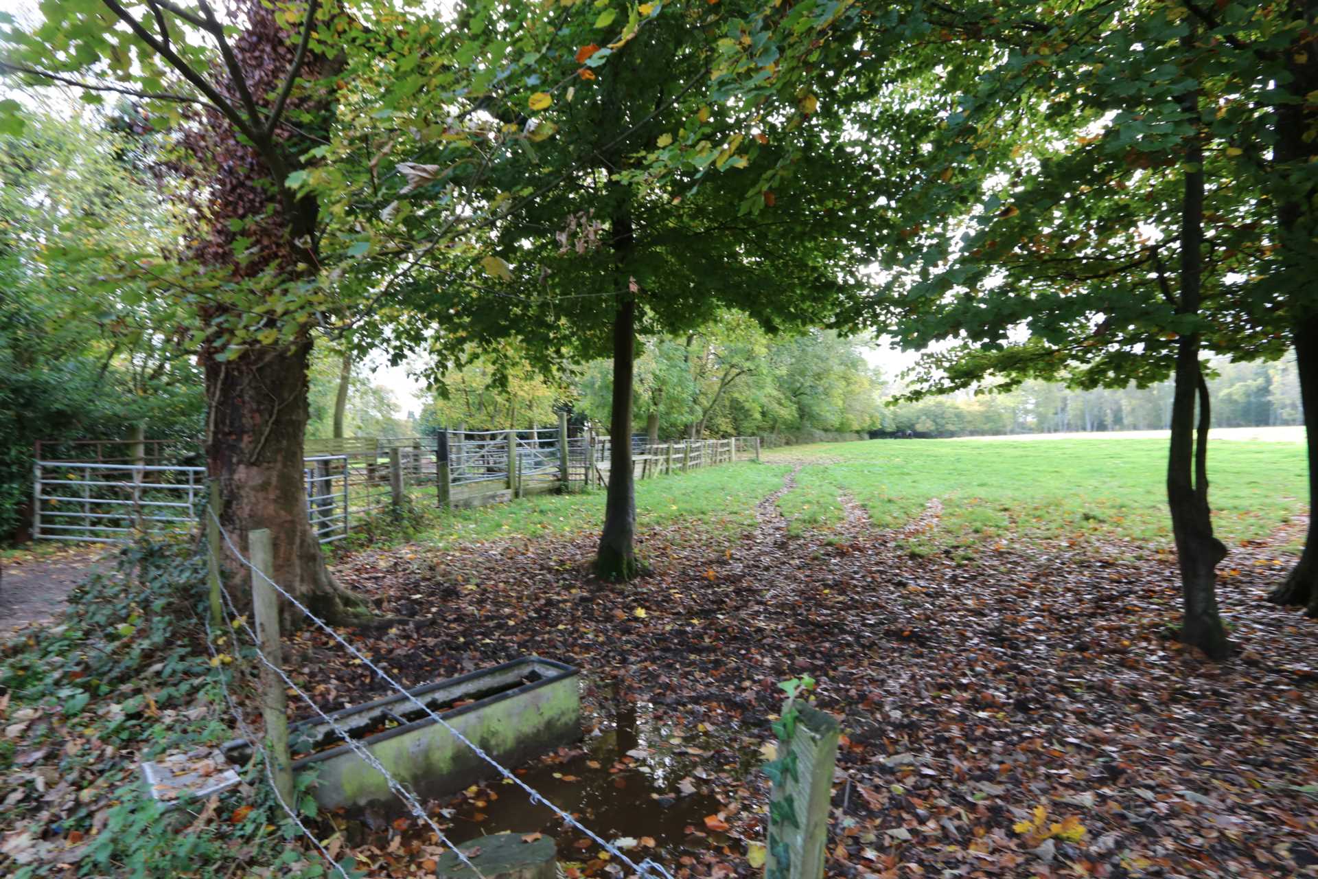 Property For Sale Dark Lane, Maidenhatch, Pangbourne Dudley