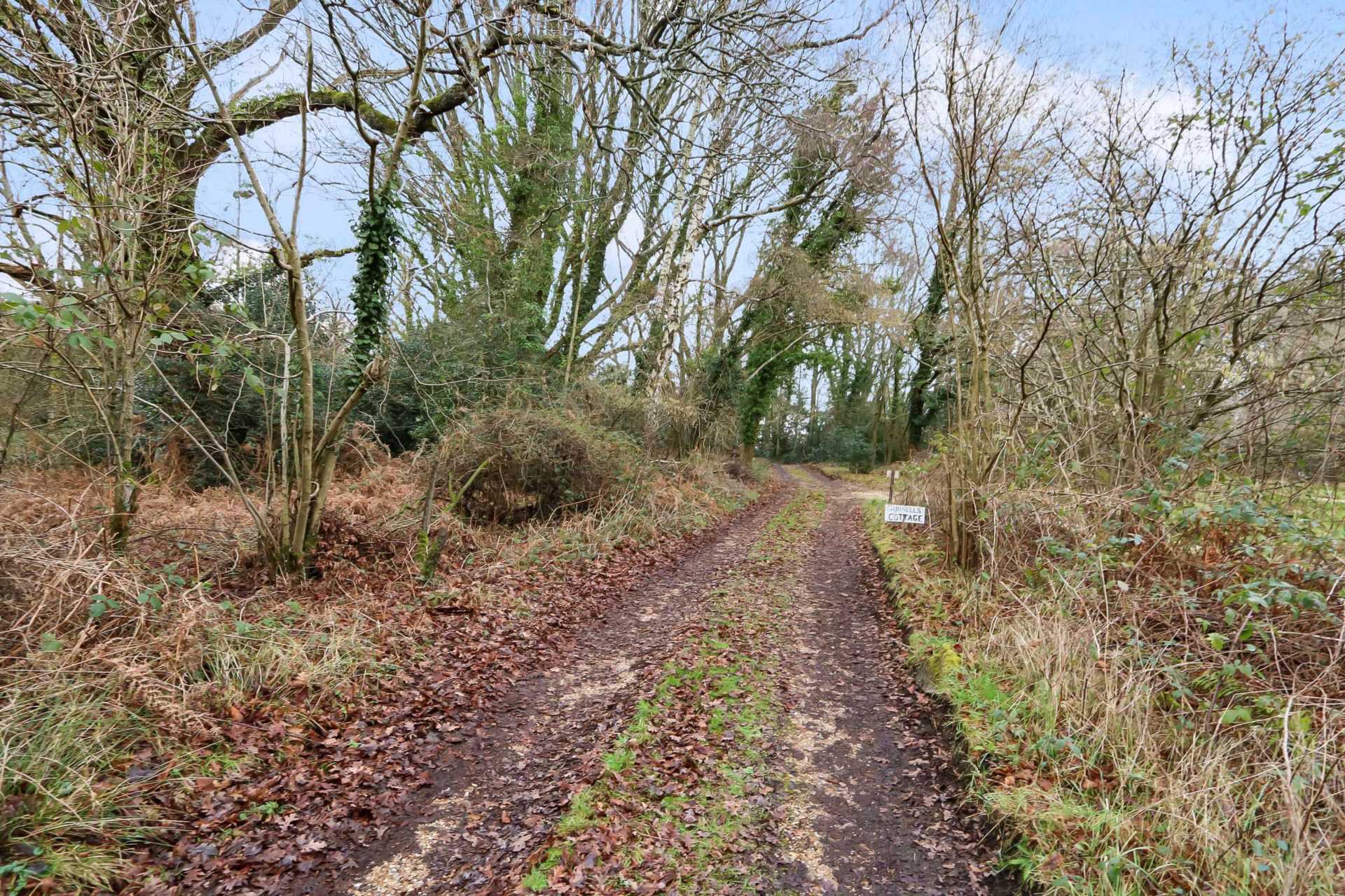 The Avenue, Bucklebury, Image 11