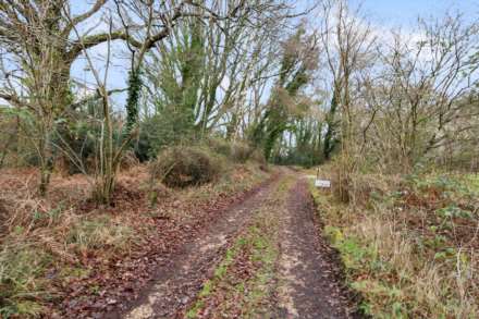 The Avenue, Bucklebury, Image 11