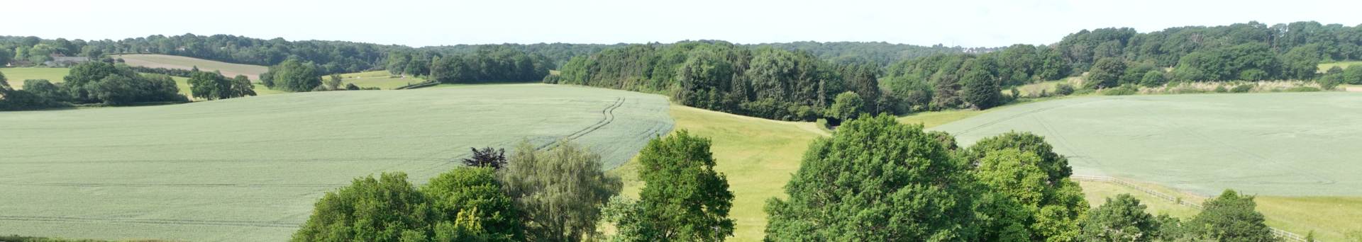 Marlston, Hermitage, Image 28