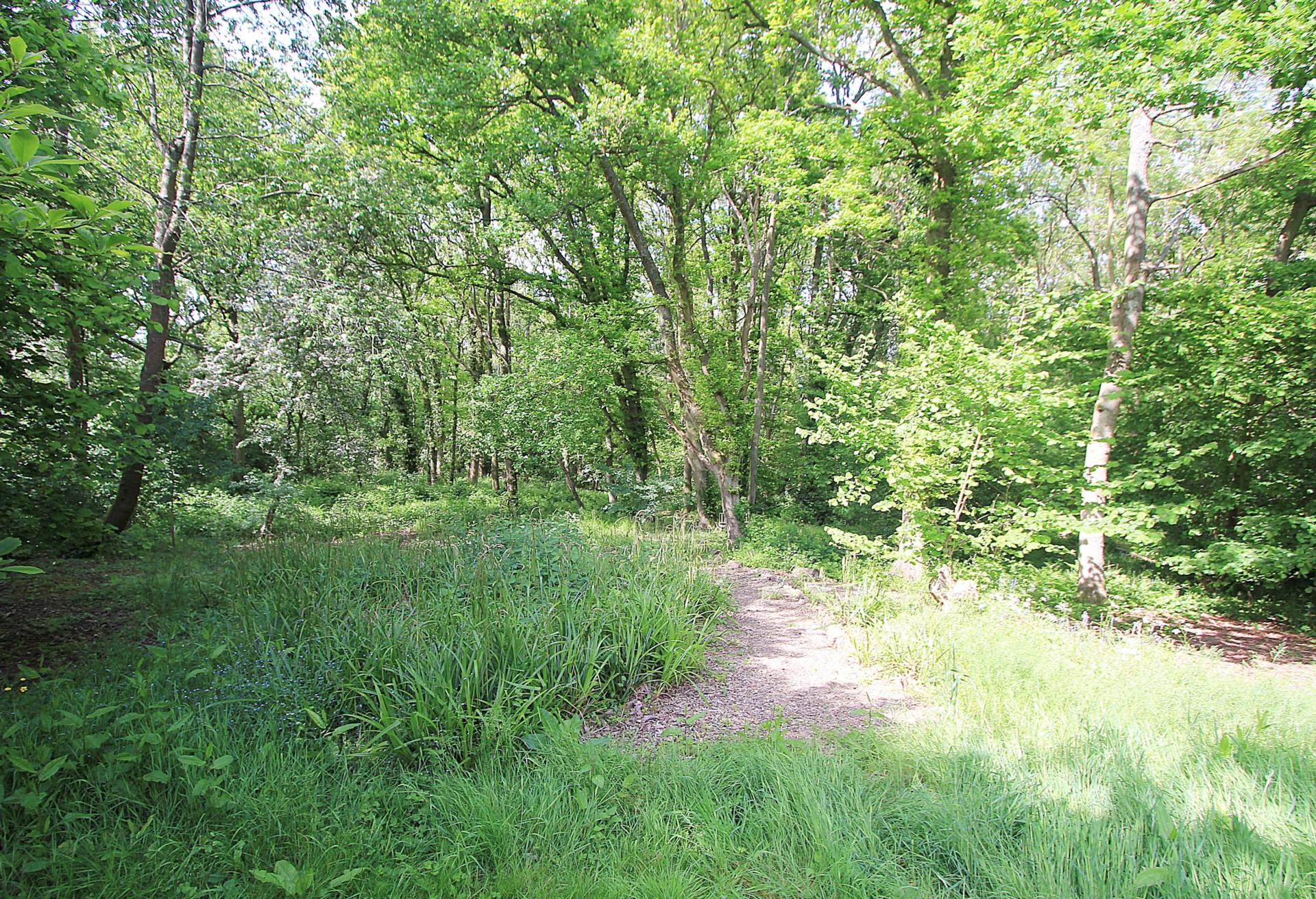 Chapel Row, Bucklebury Common, Berkshire, Image 35