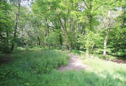 Chapel Row, Bucklebury Common, Berkshire, Image 35