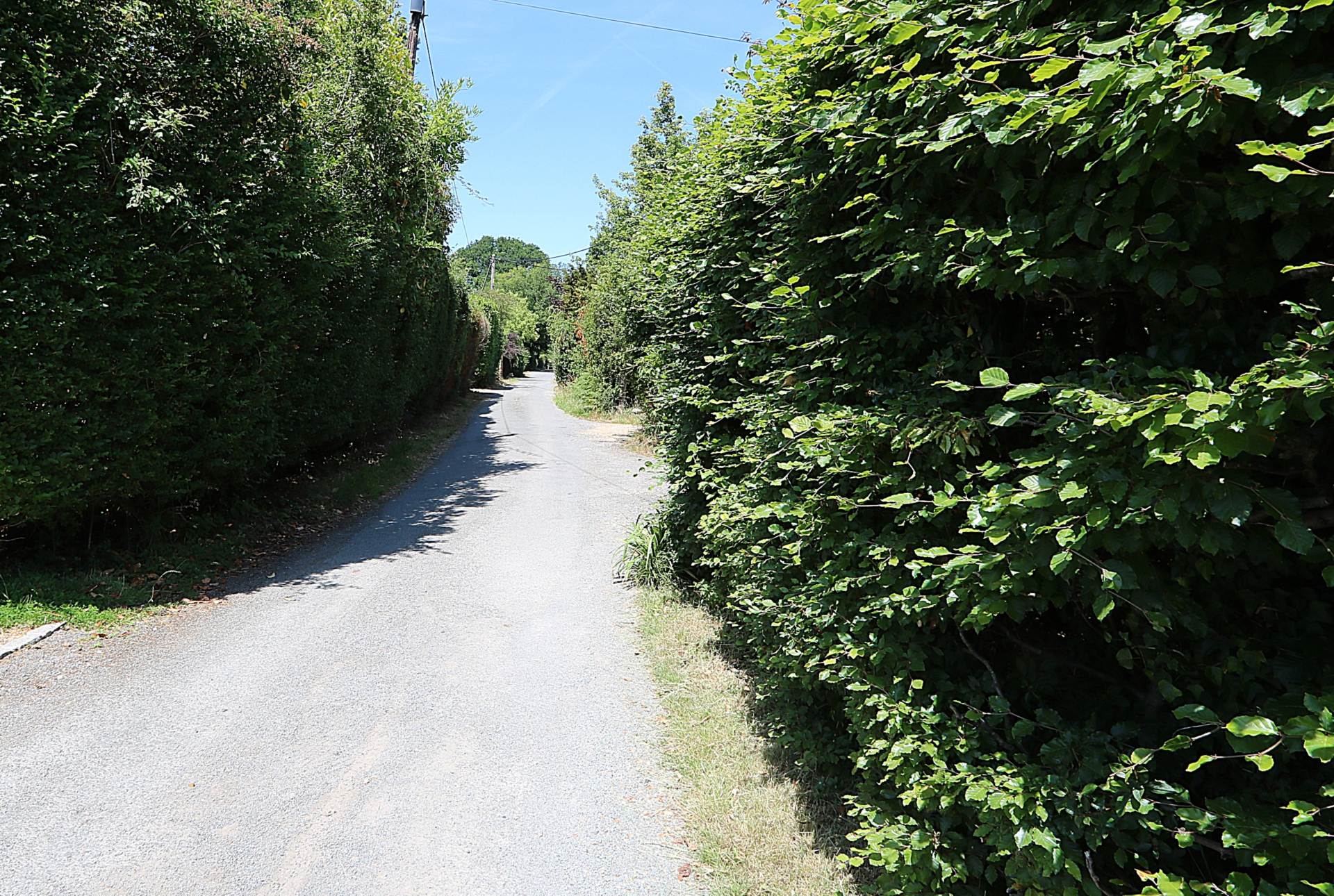 Beechfield Lane, Frilsham, Berkshire, Image 13