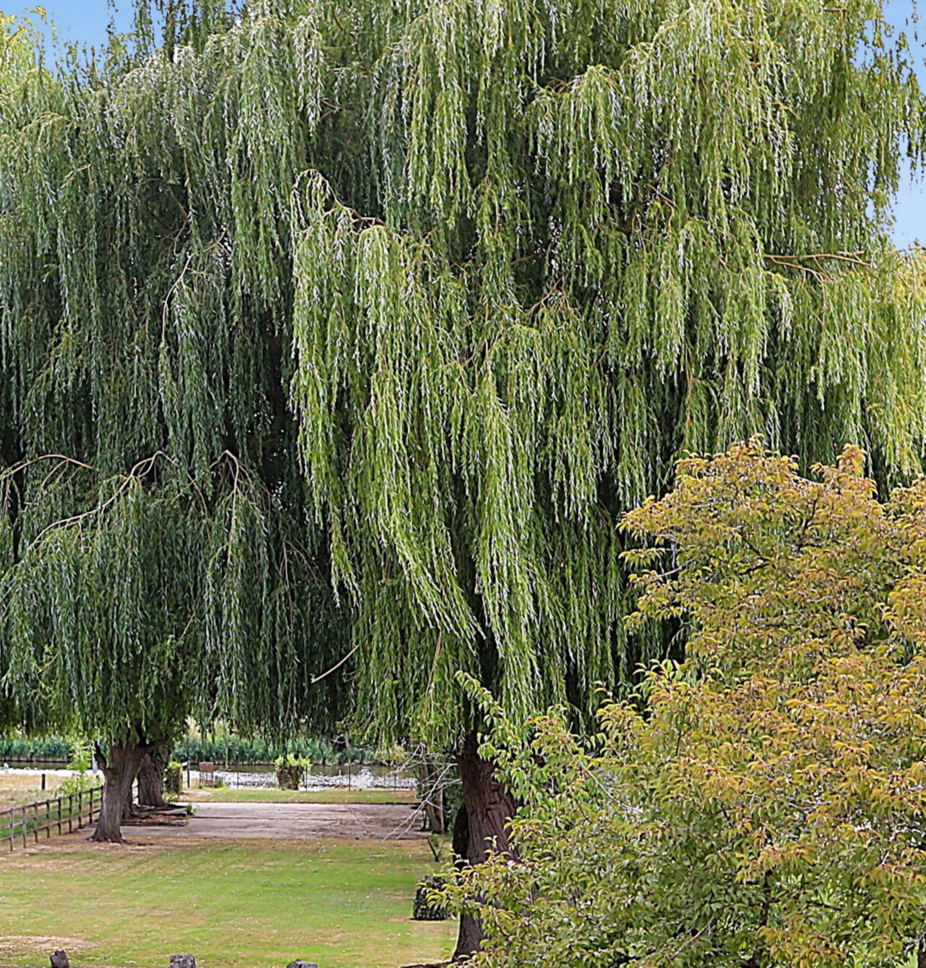 Chalmore Gardens, Wallingford - River frontage/ mooring. Walk to the market town shops, amenities, pubs, restaurants, Image 19