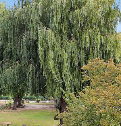 Chalmore Gardens, Wallingford - River frontage/ mooring. Walk to the market town shops, amenities, pubs, restaurants, Image 19