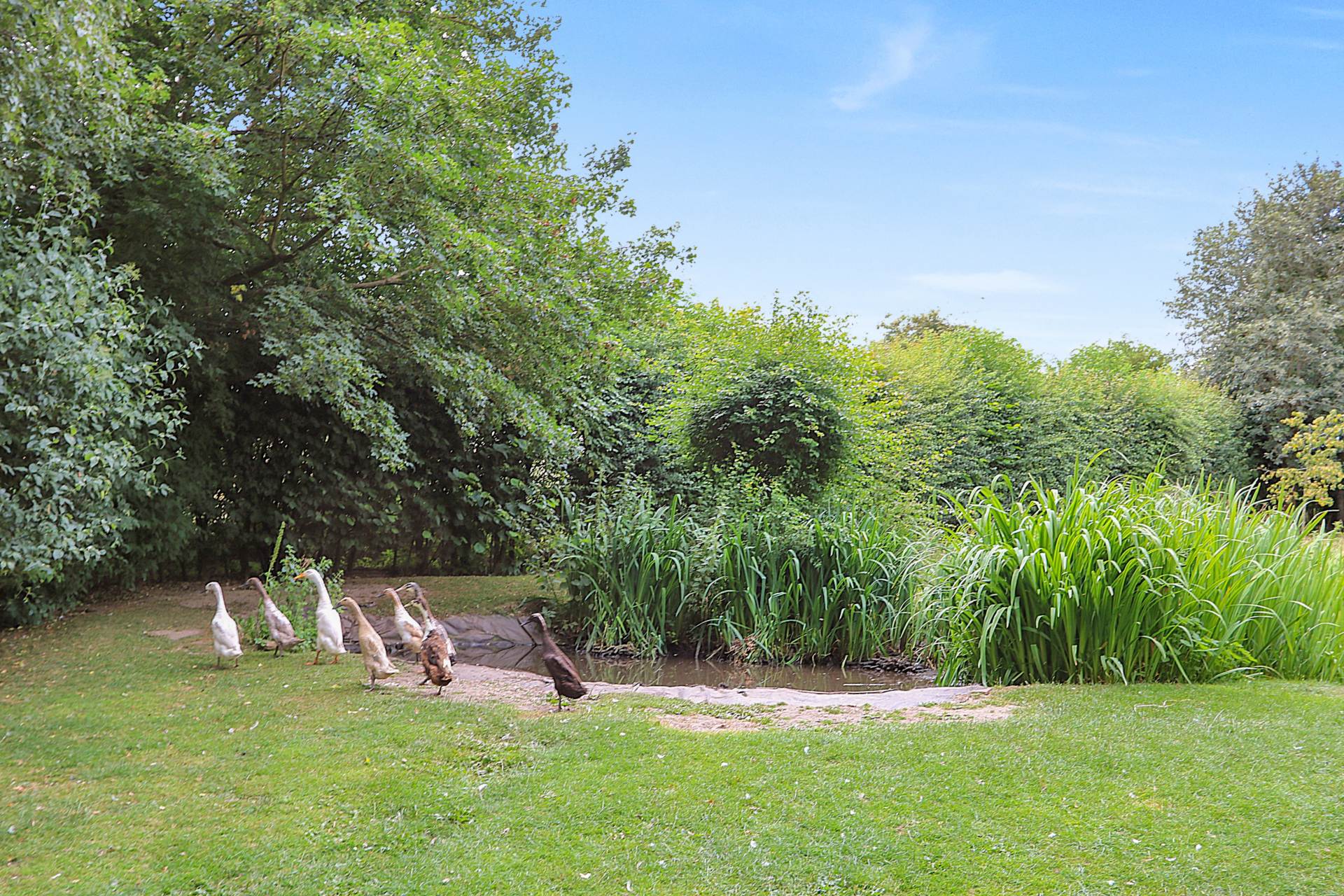 Yattendon, Berkshire -  1 mile to The Royal Oak hotel, restaurant & pub, village store, cafe & primary school, Image 26