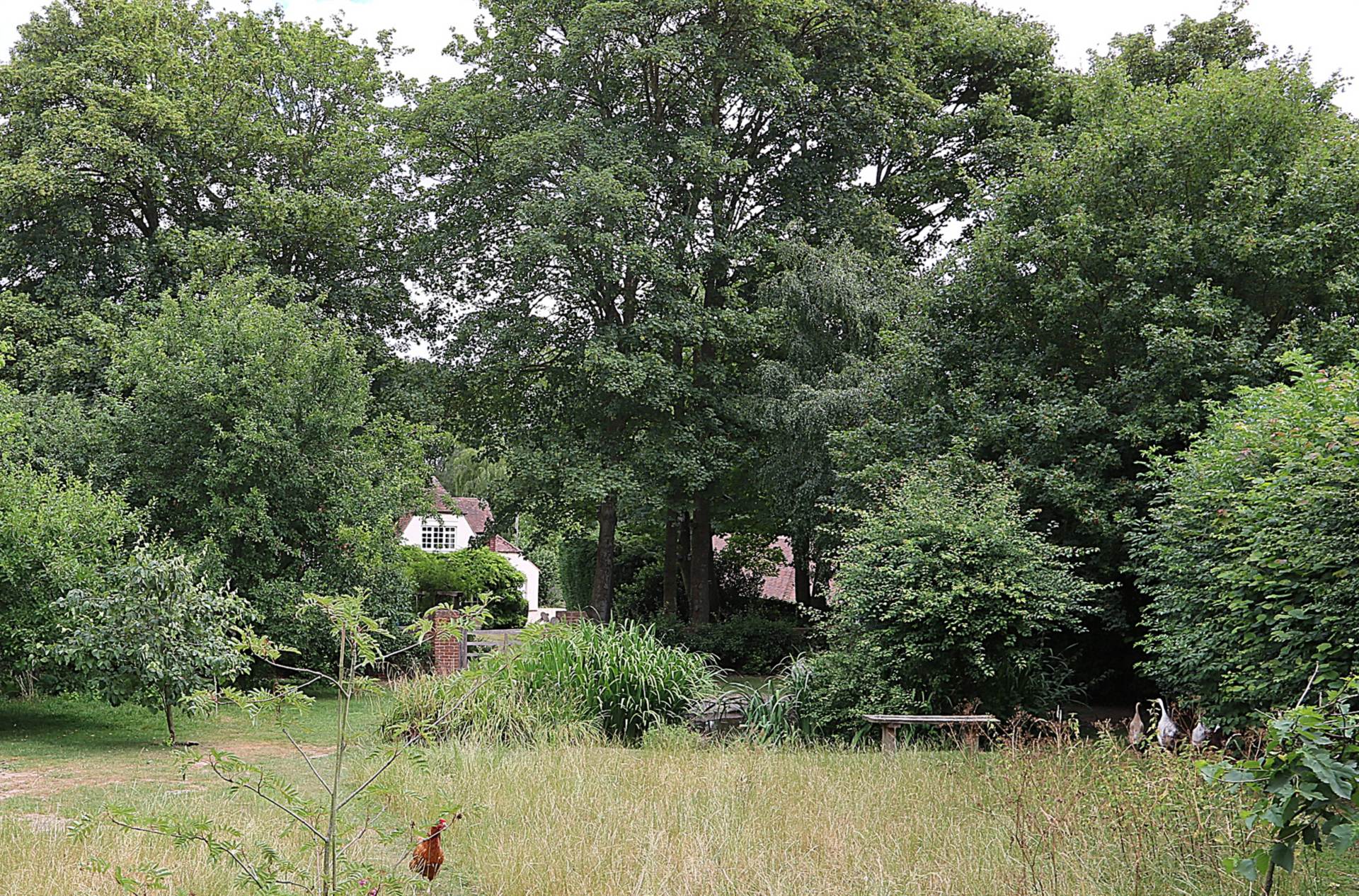 Yattendon, Berkshire -  1 mile to The Royal Oak hotel, restaurant & pub, village store, cafe & primary school, Image 30