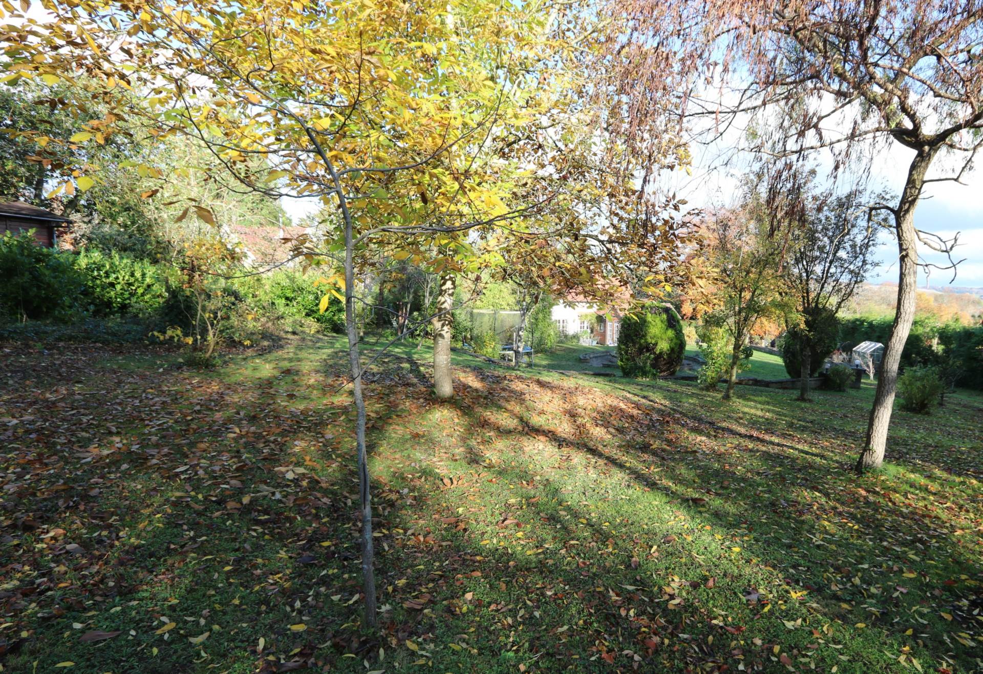 Riverview Road, Pangbourne - Walk to shops & train station, Image 36