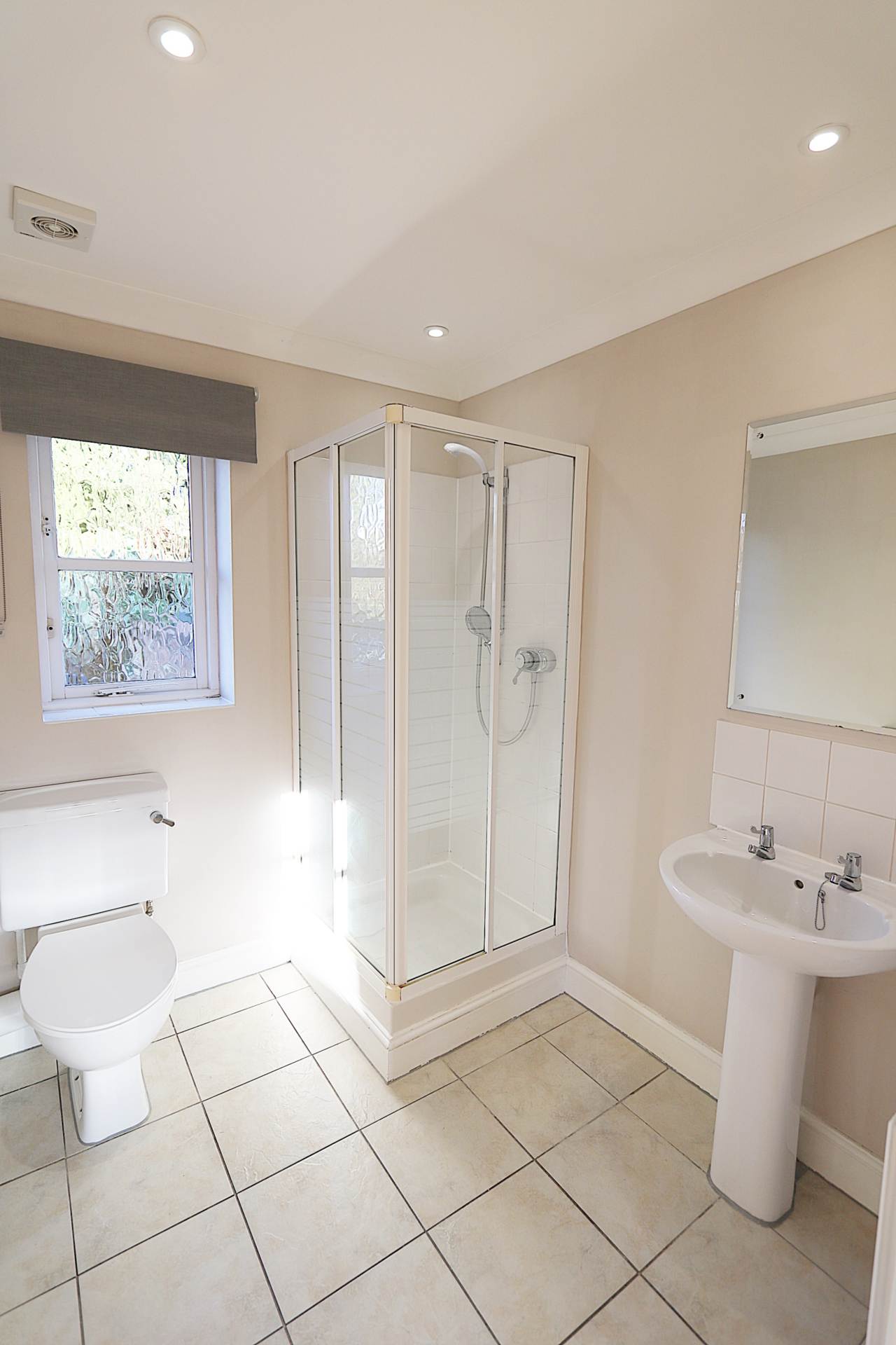 Butlers Pond, Whitchurch Hill, Image 10