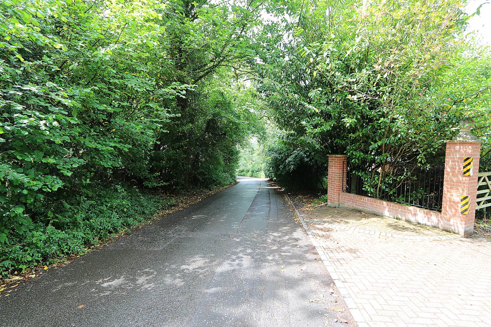 Fishers Lane, Cold Ash - Gardens and woodland 4 acres, Image 24