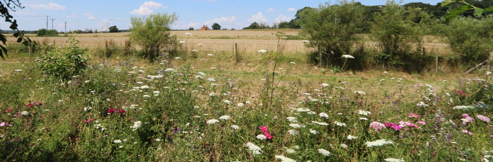 Bucklebury village, Berkshire, Image 16