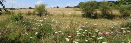 Bucklebury village, Berkshire, Image 16