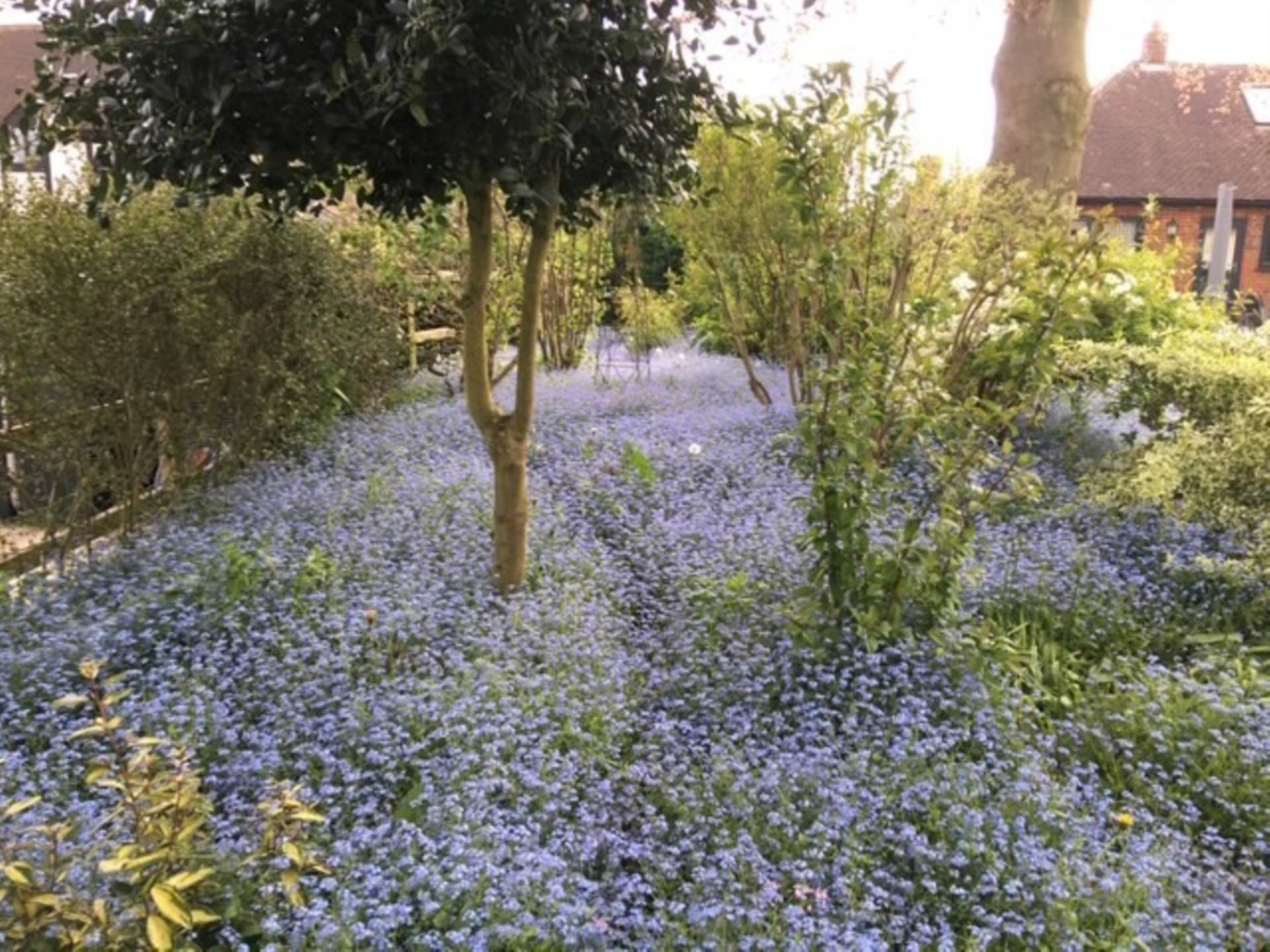 Stanford Dingley, Berkshire, Image 30
