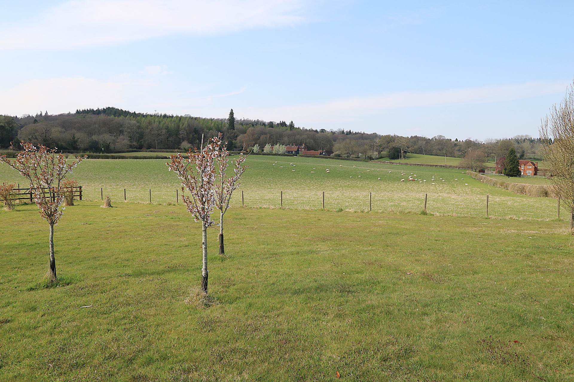 Marlston Road, Marlston, Image 30