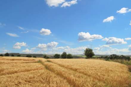 High Spy, Moyness, Nairn-Shire, Image 30