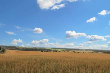 High Spy, Moyness, Nairn-Shire, Image 31
