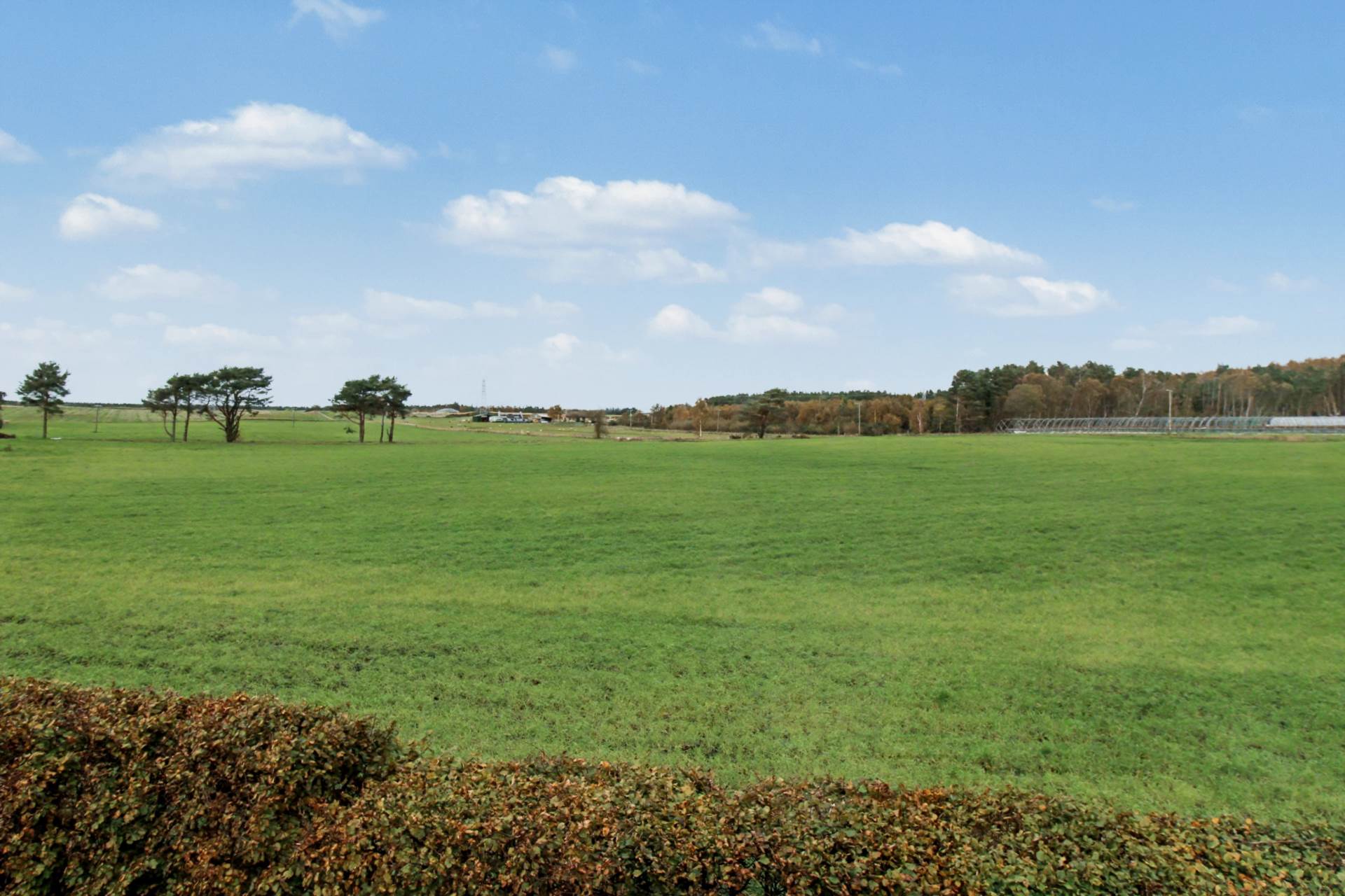 Hardmuir Park, Auldearn, Nairn, Image 21
