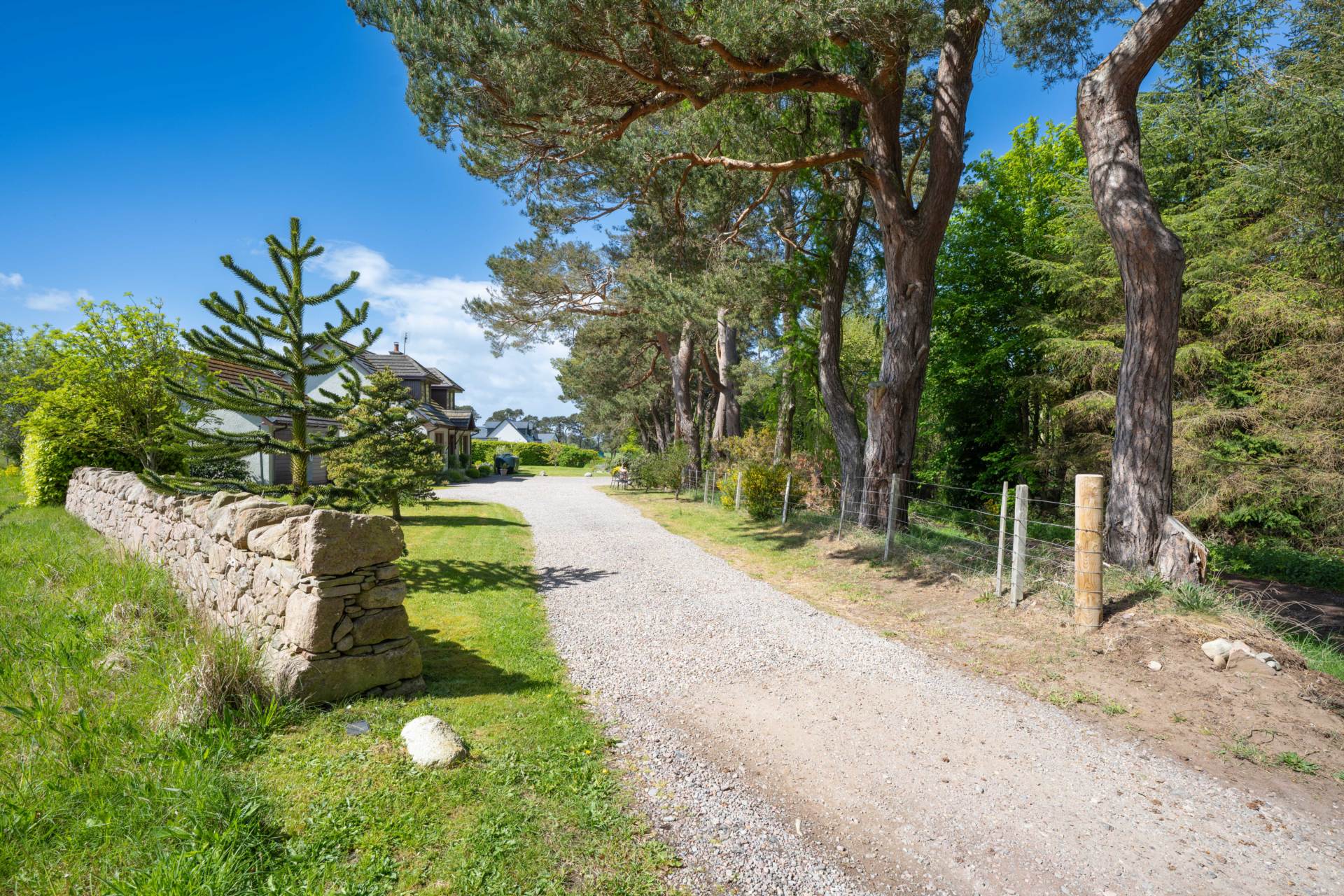 Wester Lochloy, Nairn, Image 24