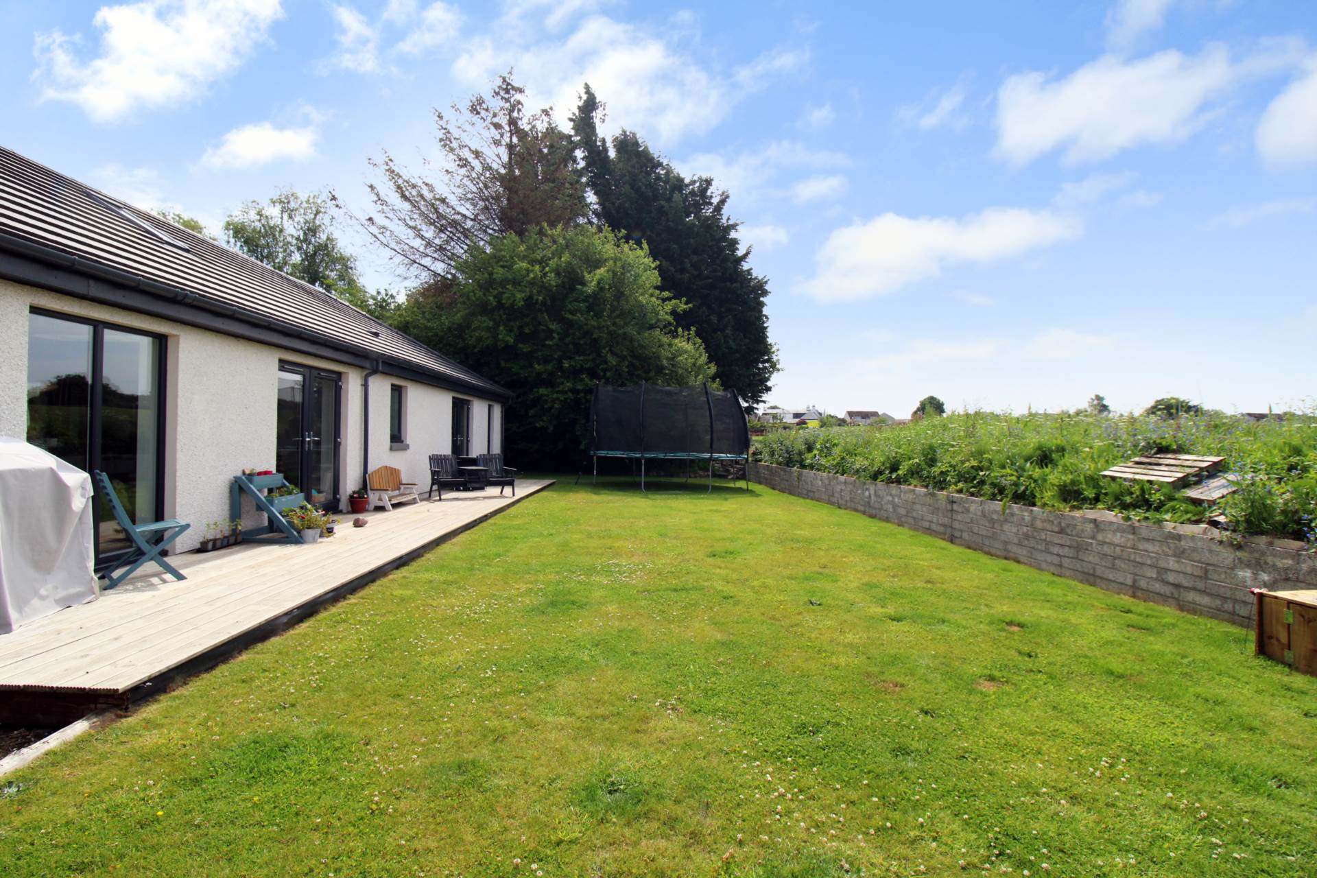 Elderberry, Nairn, Image 27