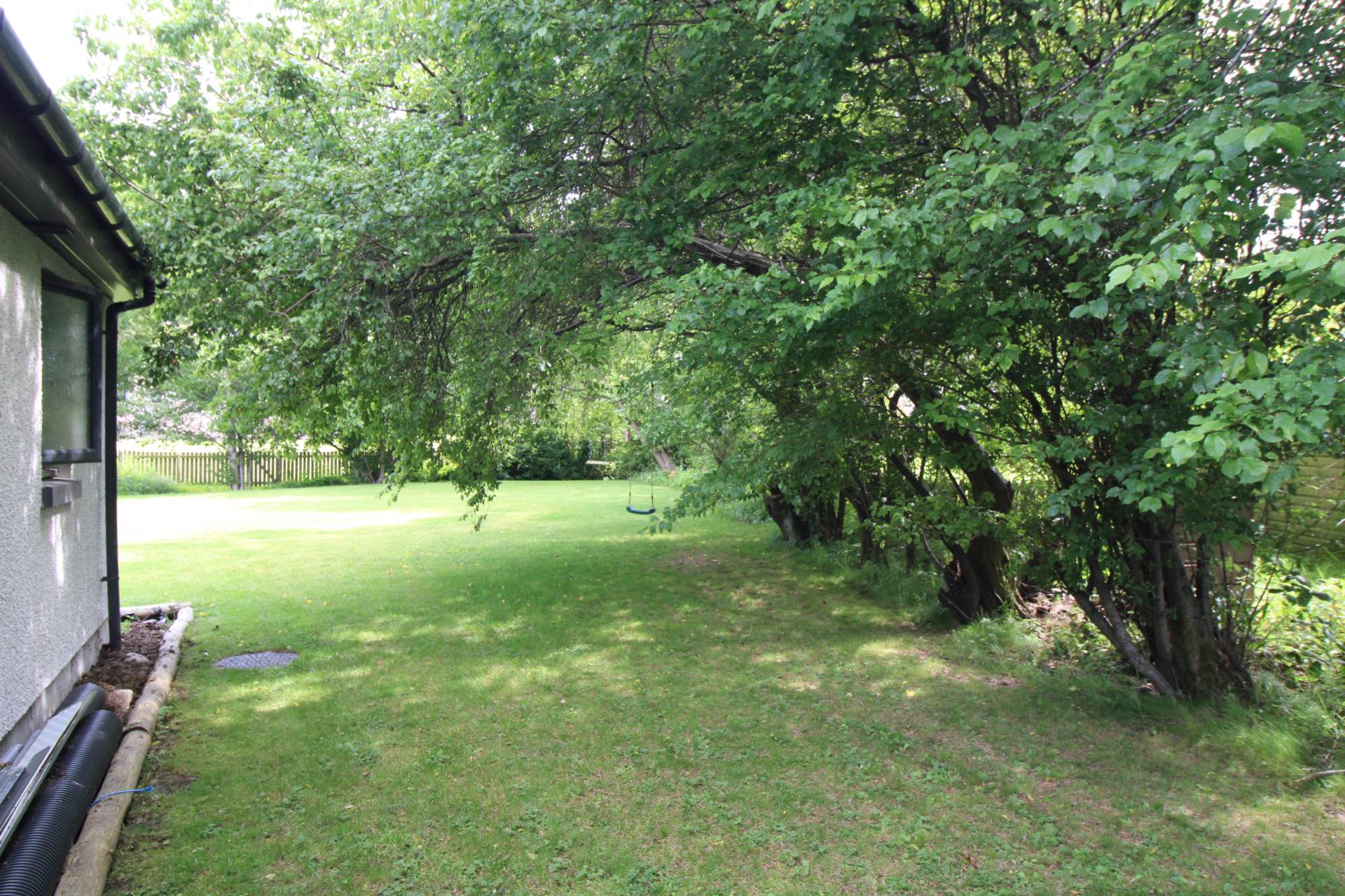 Elderberry, Nairn, Image 29