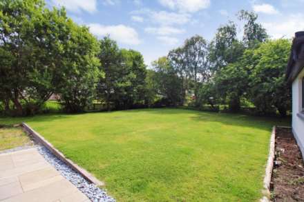 Elderberry, Nairn, Image 23
