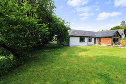 Elderberry, Nairn, Image 24