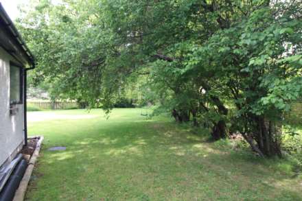 Elderberry, Nairn, Image 29