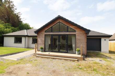 Elderberry, Nairn, Image 30