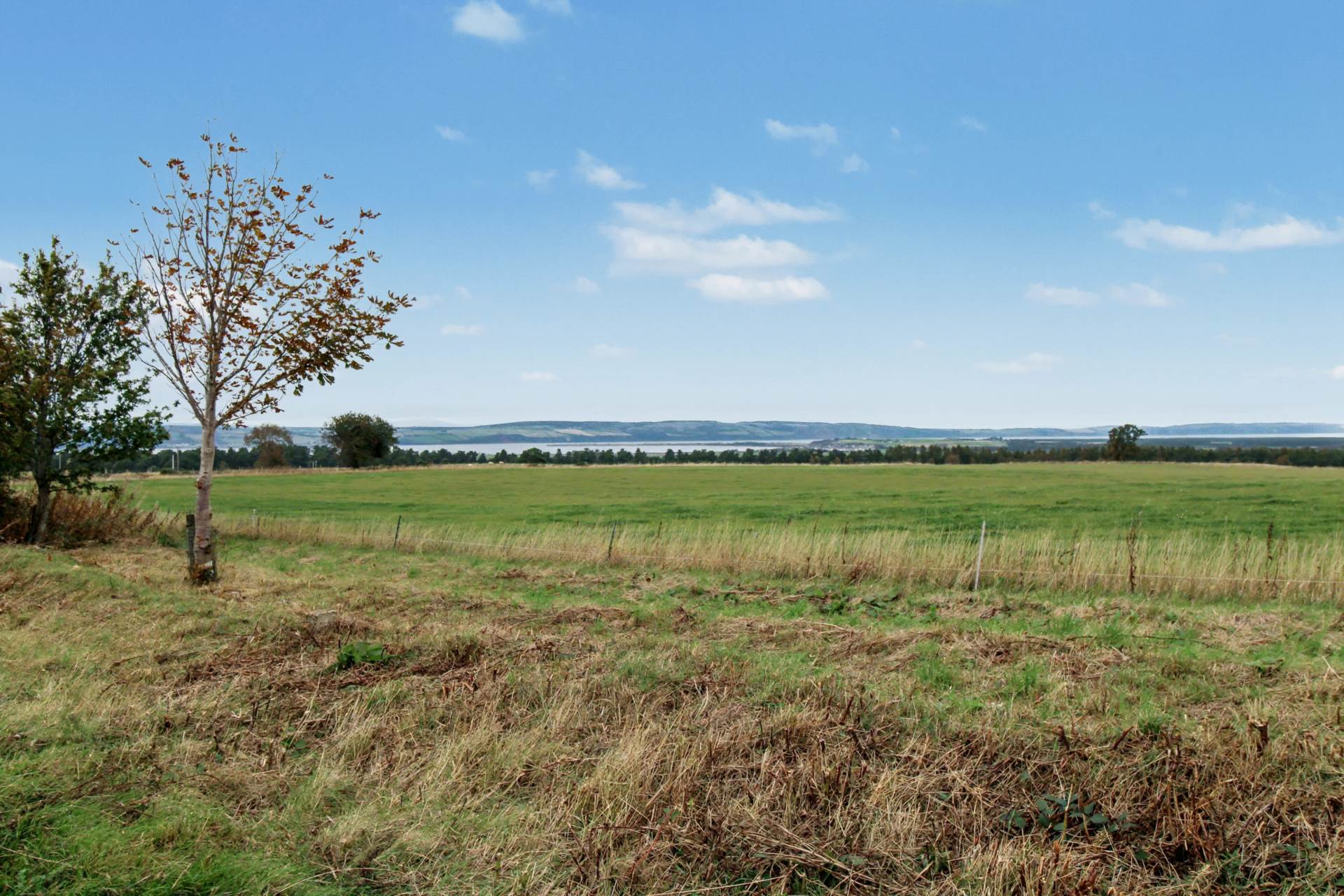 School Brae, Croy, Image 25
