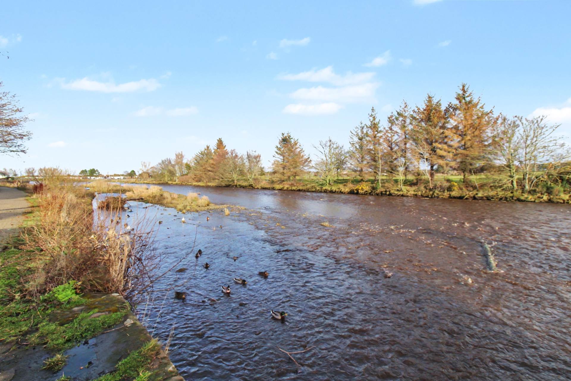 Harbour Street, Nairn, Image 24