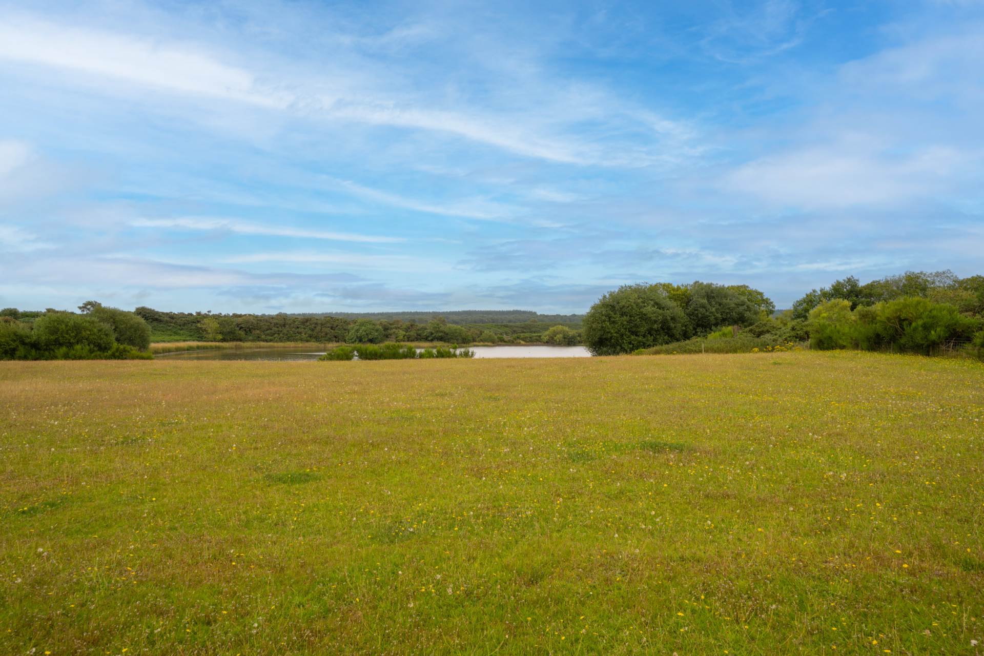 Ellangowan, Loch Flemington, Inverness-Shire, Image 6