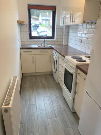 Willow Court, Bassetsbury Lane, Image 4