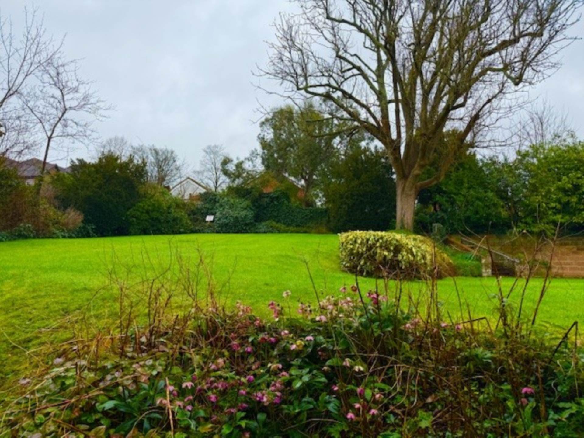 Temple Orchard, High Wycombe, Image 3