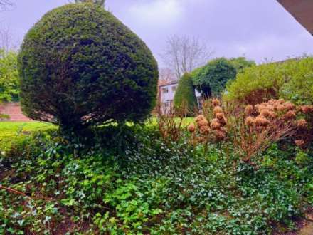 Temple Orchard, High Wycombe, Image 2