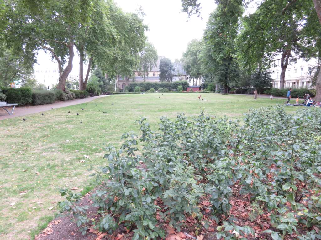 St. Georges Square, Pimlico, SW1, Image 17