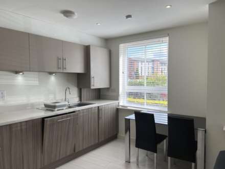 Richmond Park Terrace, New Gorbals, Image 2