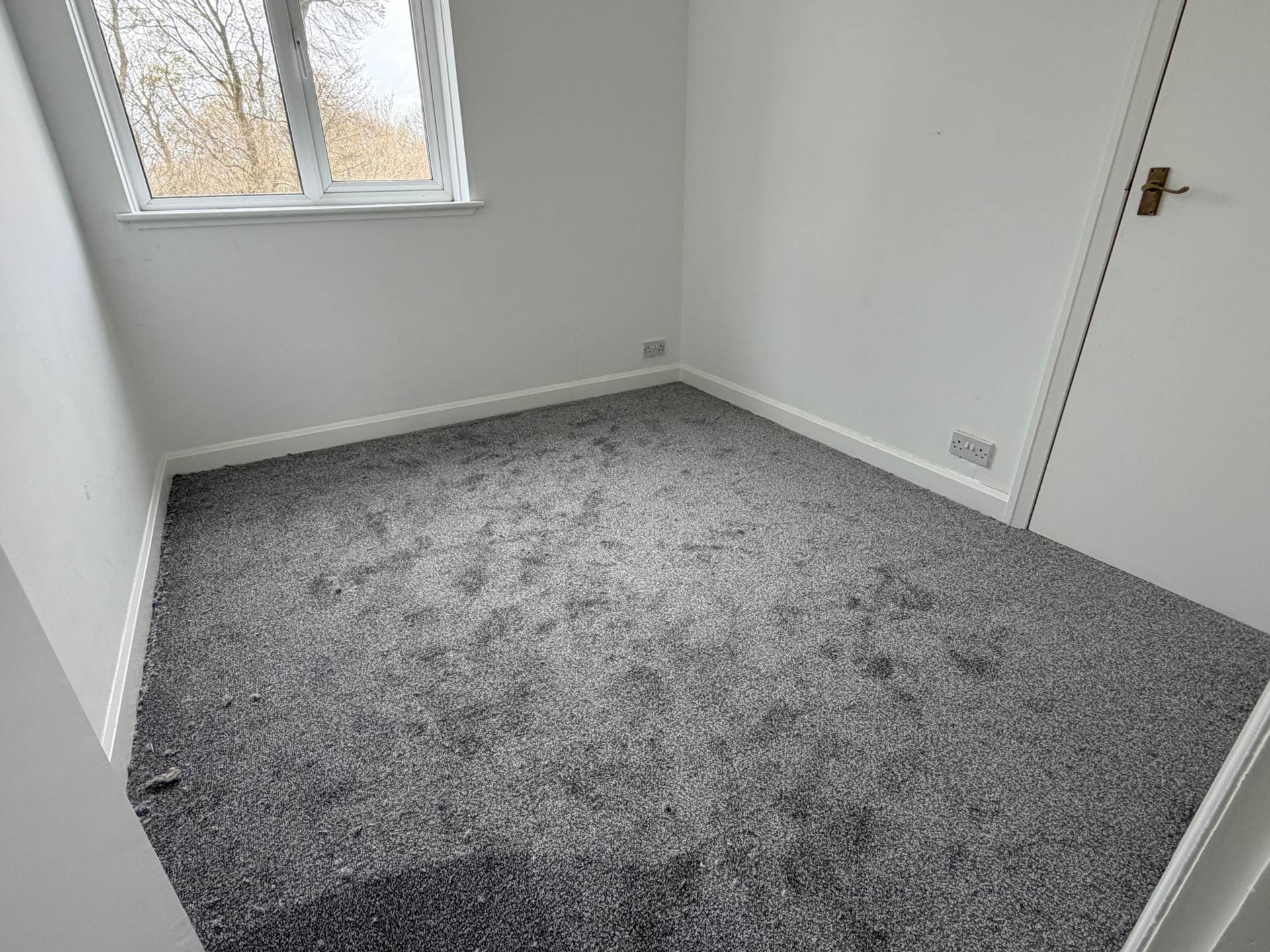 31D Alexander Avenue, Eaglesham, Image 5