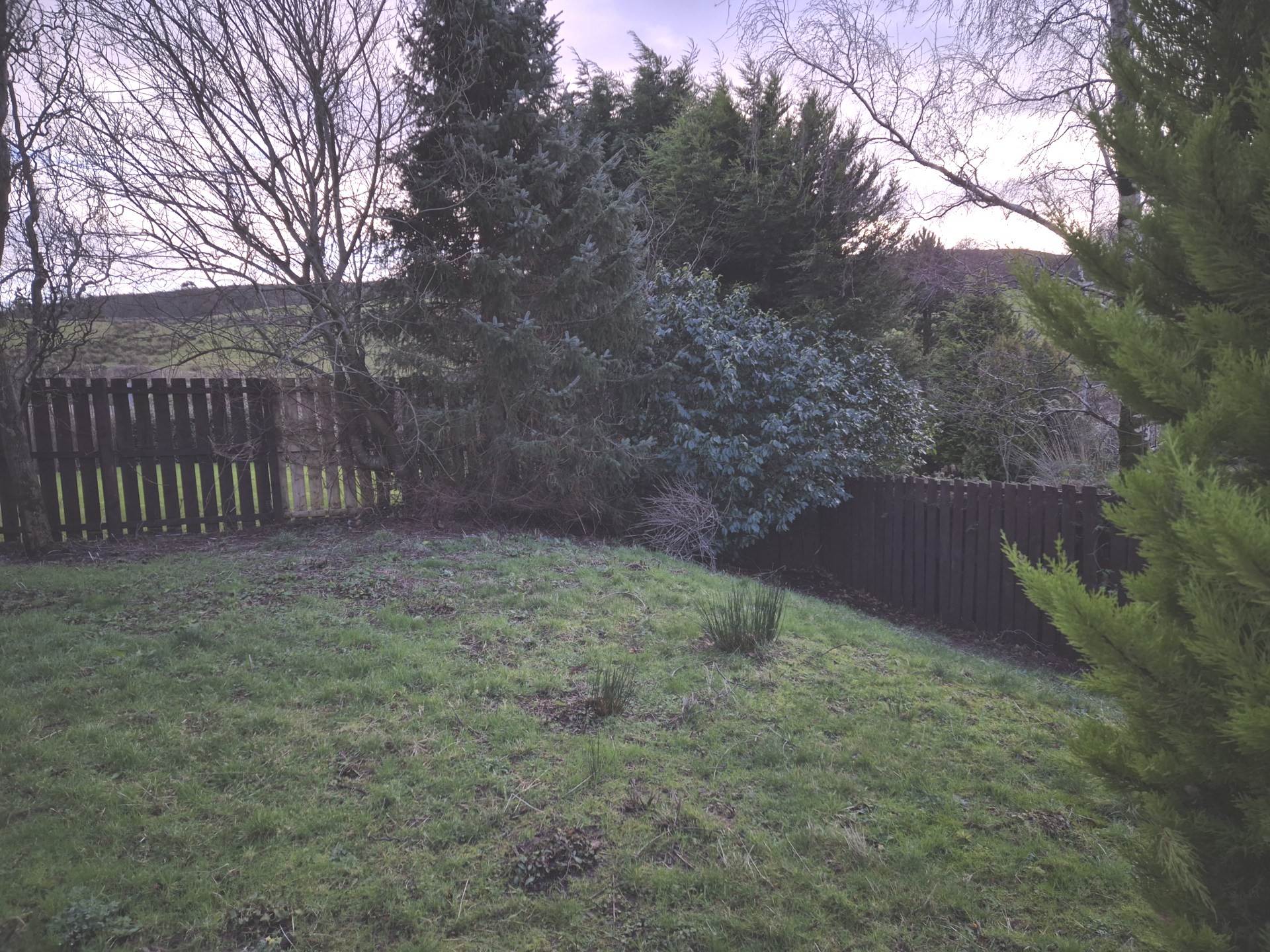 Dunnock Grove, Greenock, Image 26