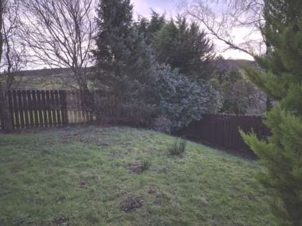 Dunnock Grove, Greenock, Image 26