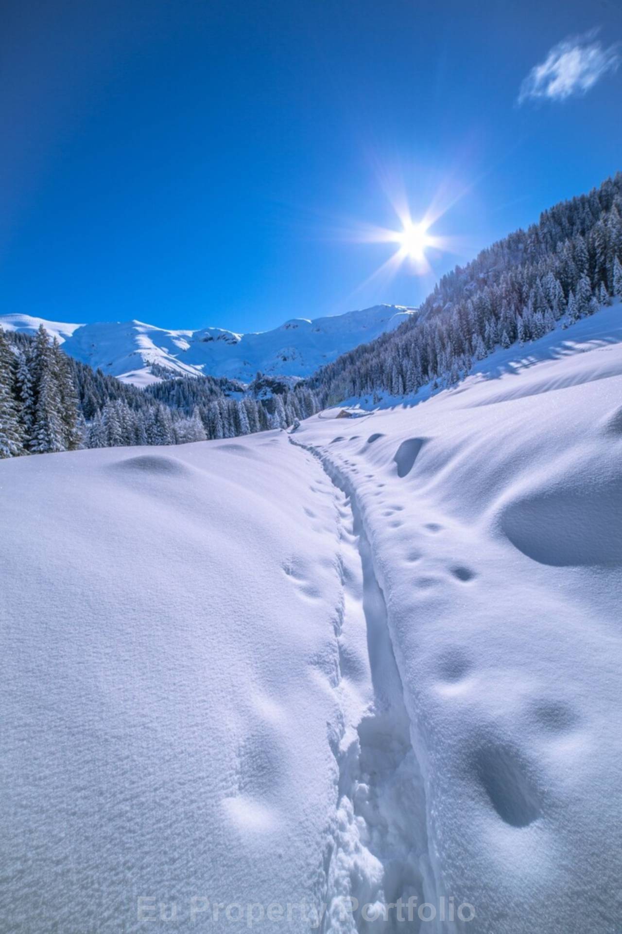 Praz-Sur-Arly, Image 5